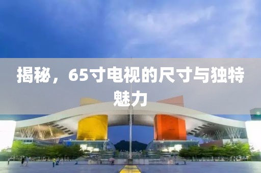 揭秘，65寸電視的尺寸與獨(dú)特魅力