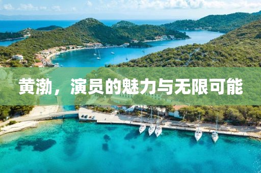 黃渤，演員的魅力與無(wú)限可能