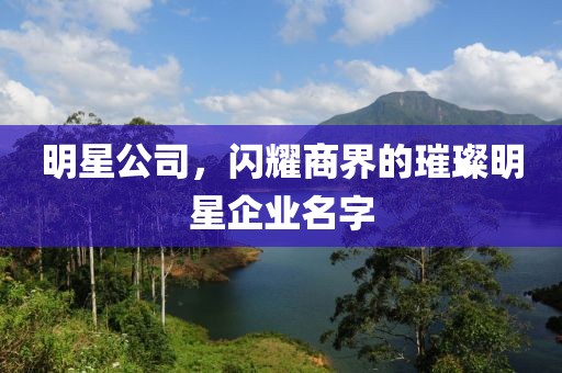 明星公司，閃耀商界的璀璨明星企業(yè)名字