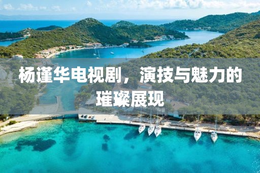 楊謹華電視劇，演技與魅力的璀璨展現(xiàn)