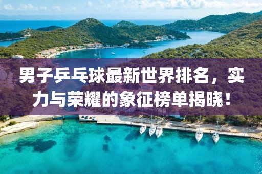 男子乒乓球最新世界排名，實(shí)力與榮耀的象征榜單揭曉！