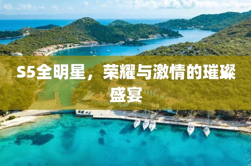 S5全明星，榮耀與激情的璀璨盛宴