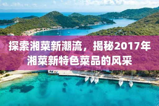 探索湘菜新潮流，揭秘2017年湘菜新特色菜品的風(fēng)采