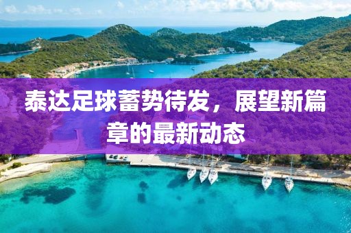 泰達足球蓄勢待發(fā)，展望新篇章的最新動態(tài)