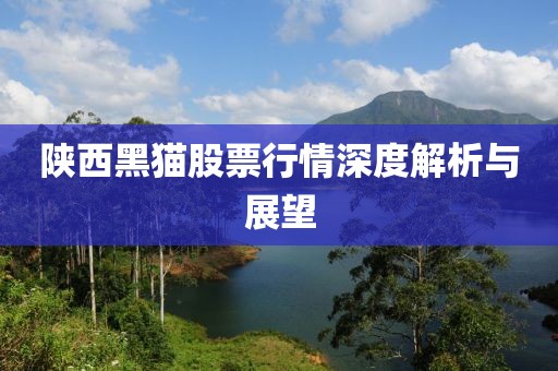 陜西黑貓股票行情深度解析與展望