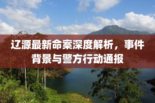 遼源最新命案深度解析，事件背景與警方行動通報