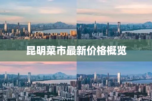 昆明菜市最新價(jià)格概覽