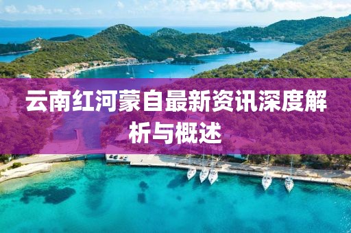 云南紅河蒙自最新資訊深度解析與概述