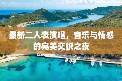 最新二人表演唱，音樂與情感的完美交織之夜