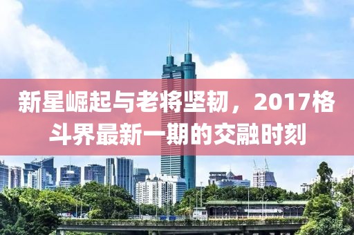 新星崛起與老將堅韌，2017格斗界最新一期的交融時刻