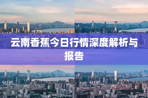 云南香蕉今日行情深度解析與報告