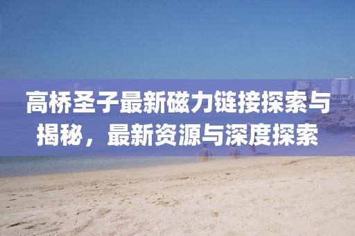 高橋圣子最新磁力鏈接探索與揭秘，最新資源與深度探索