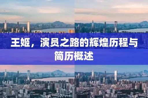 王姬，演員之路的輝煌歷程與簡(jiǎn)歷概述