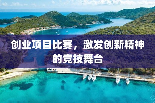 創(chuàng)業(yè)項(xiàng)目比賽，激發(fā)創(chuàng)新精神的競(jìng)技舞臺(tái)