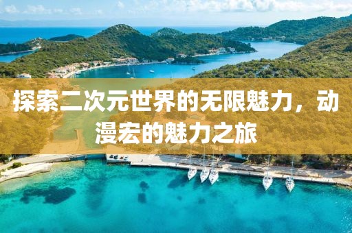 探索二次元世界的無限魅力，動(dòng)漫宏的魅力之旅