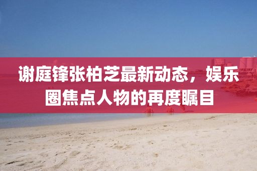 謝庭鋒張柏芝最新動(dòng)態(tài)，娛樂圈焦點(diǎn)人物的再度矚目