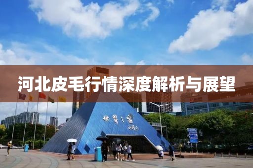 河北皮毛行情深度解析與展望