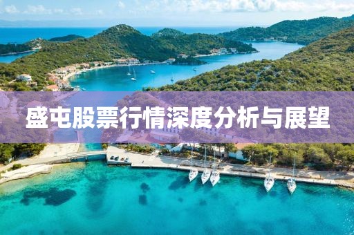 盛屯股票行情深度分析與展望