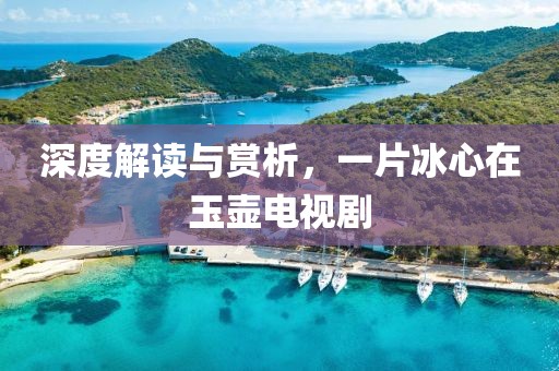 深度解讀與賞析，一片冰心在玉壺電視劇