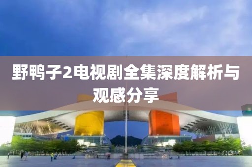 野鴨子2電視劇全集深度解析與觀感分享