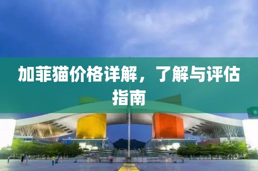 加菲貓價格詳解，了解與評估指南
