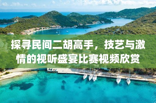 探尋民間二胡高手，技藝與激情的視聽盛宴比賽視頻欣賞