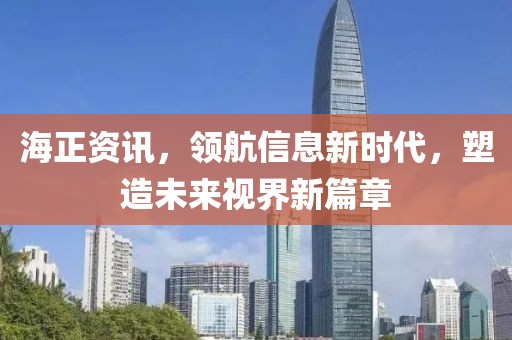 海正資訊，領(lǐng)航信息新時(shí)代，塑造未來視界新篇章