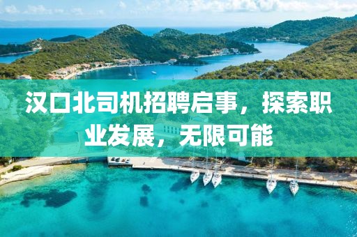 漢口北司機招聘啟事，探索職業(yè)發(fā)展，無限可能