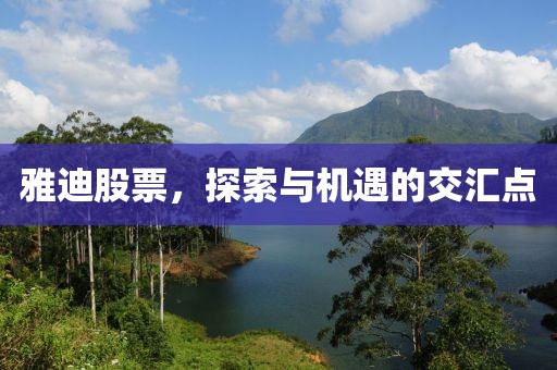 雅迪股票，探索與機遇的交匯點