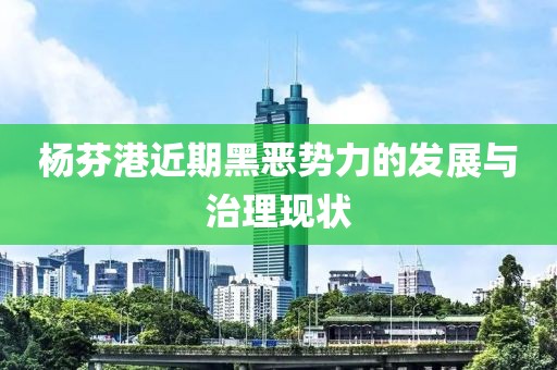 楊芬港近期黑惡勢力的發(fā)展與治理現(xiàn)狀