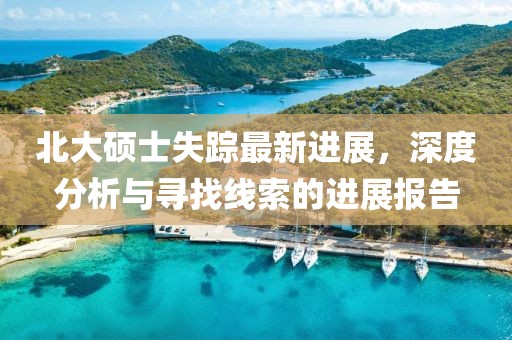 北大碩士失蹤最新進展，深度分析與尋找線索的進展報告
