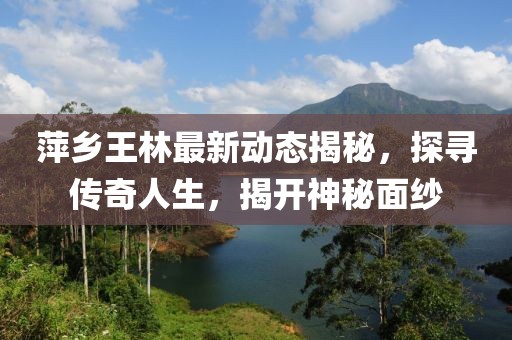 萍鄉(xiāng)王林最新動態(tài)揭秘，探尋傳奇人生，揭開神秘面紗
