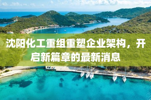 沈陽化工重組重塑企業(yè)架構(gòu)，開啟新篇章的最新消息