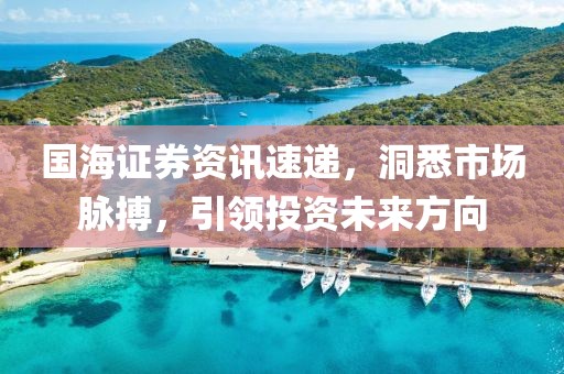 國海證券資訊速遞，洞悉市場脈搏，引領投資未來方向