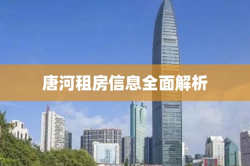 唐河租房信息全面解析