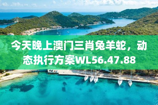 今天晚上澳門三肖兔羊蛇，動(dòng)態(tài)執(zhí)行方案WL56.47.88