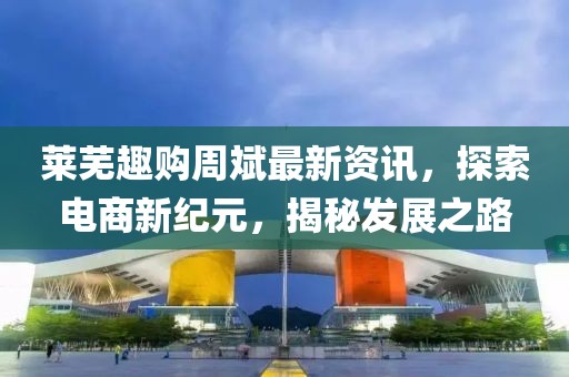 萊蕪趣購周斌最新資訊，探索電商新紀(jì)元，揭秘發(fā)展之路