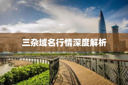 三雜域名行情深度解析