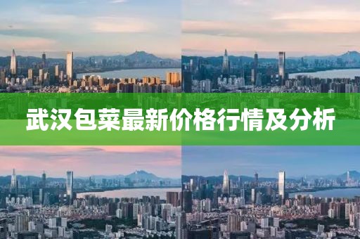 武漢包菜最新價(jià)格行情及分析