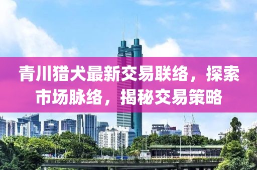 青川獵犬最新交易聯(lián)絡(luò)，探索市場(chǎng)脈絡(luò)，揭秘交易策略
