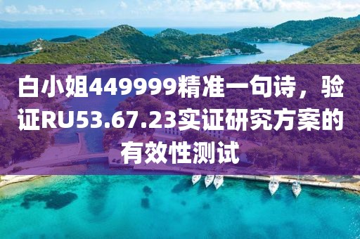白小姐449999精準(zhǔn)一句詩，驗證RU53.67.23實證研究方案的有效性測試