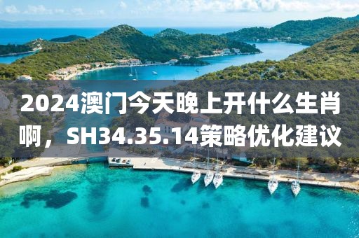 2024澳門今天晚上開什么生肖啊，SH34.35.14策略優(yōu)化建議