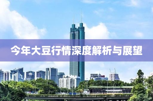 今年大豆行情深度解析與展望
