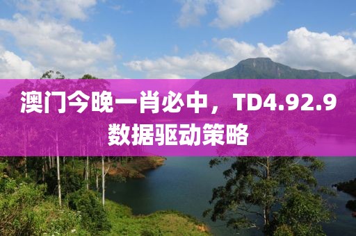 澳門(mén)今晚一肖必中，TD4.92.9數(shù)據(jù)驅(qū)動(dòng)策略