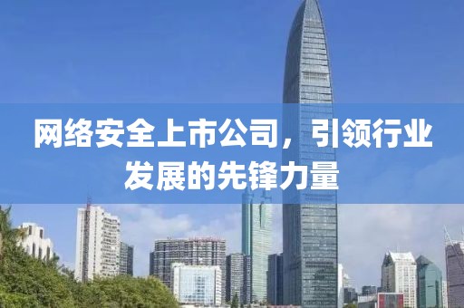 網(wǎng)絡(luò)安全上市公司，引領(lǐng)行業(yè)發(fā)展的先鋒力量