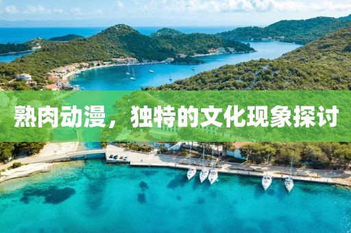 熟肉動漫，獨特的文化現(xiàn)象探討
