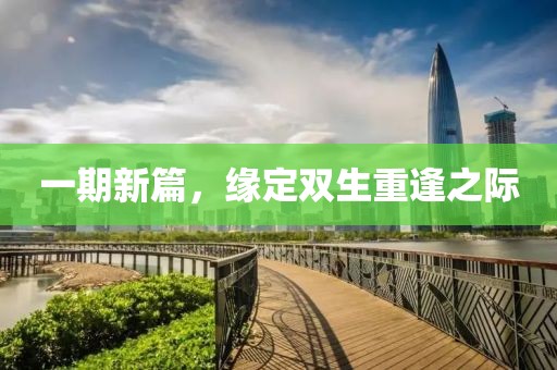 一期新篇，緣定雙生重逢之際