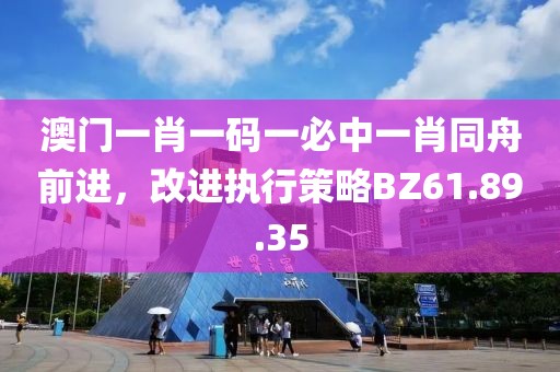 澳門一肖一碼一必中一肖同舟前進，改進執(zhí)行策略BZ61.89.35