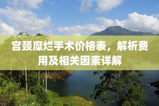 宮頸糜爛手術(shù)價(jià)格表，解析費(fèi)用及相關(guān)因素詳解