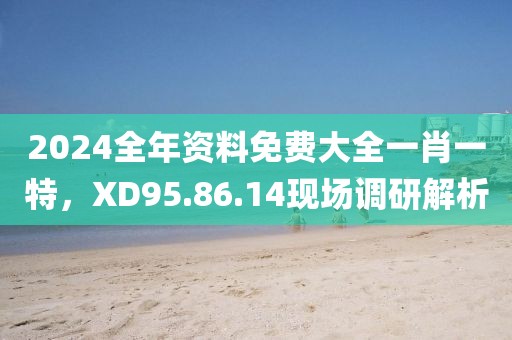2024全年資料免費(fèi)大全一肖一特，XD95.86.14現(xiàn)場(chǎng)調(diào)研解析